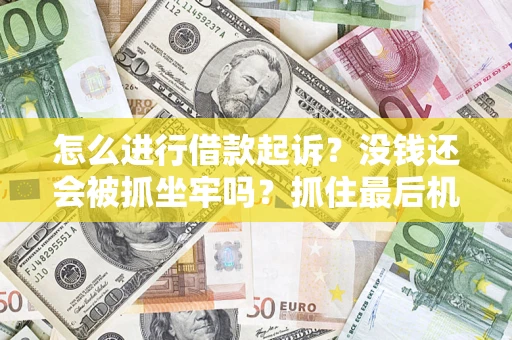武汉怎么进行借款起诉？没钱还会被抓坐牢吗？抓住最后机会！