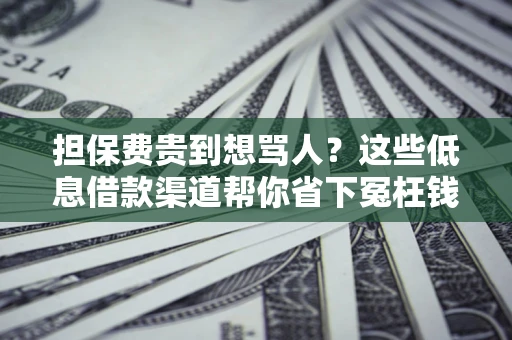 武汉担保费贵到想骂人？这些低息借款渠道帮你省下冤枉钱