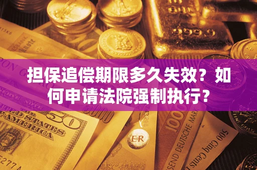 武汉担保追偿期限多久失效？如何申请法院强制执行？