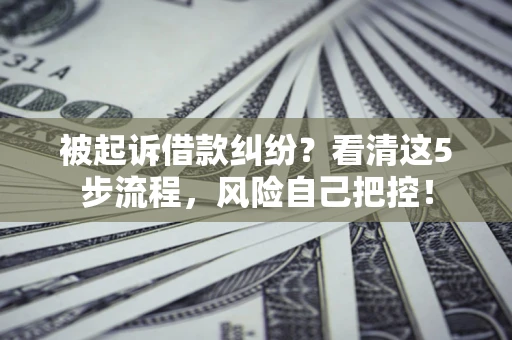 武汉被起诉借款纠纷？看清这5步流程，风险自己把控！